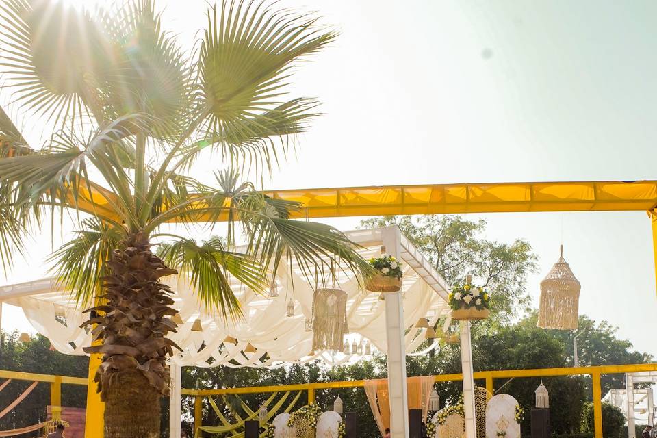 Nidhivan Sarovar Portico portfolio