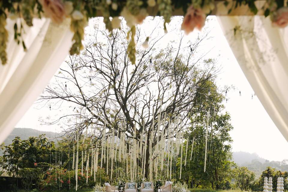 Natural Tree Mandap