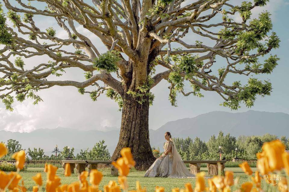 Bridal photo shoot - kashmir