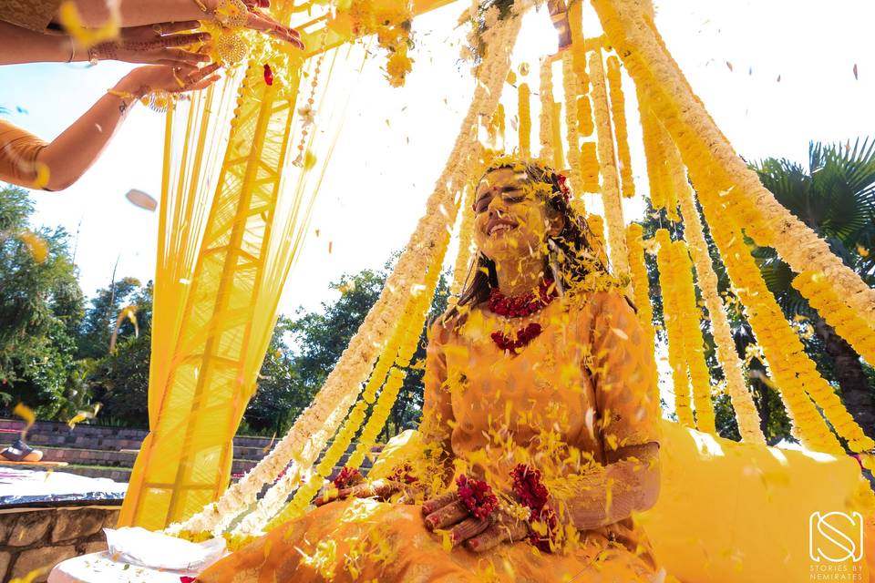 Haldi