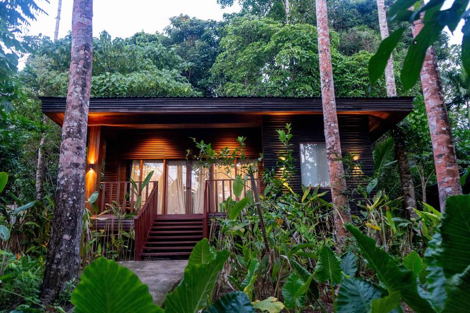 Accommodation