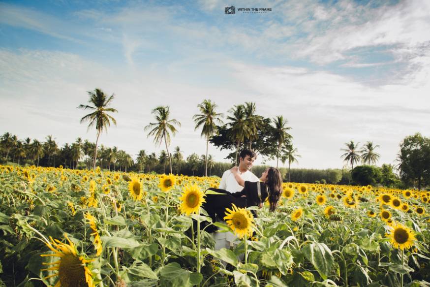 Pre-wedding shoot