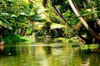 Navin Tours and Travels