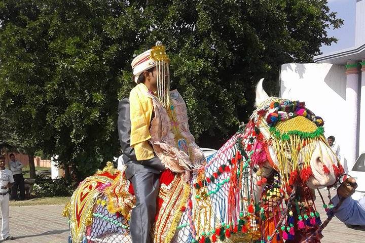 Jai Balaji Band