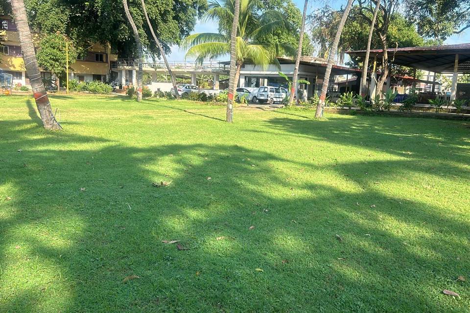 Lawn area