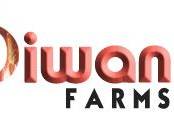 Diwan Farms Logo