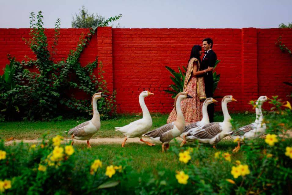 Dream Wedding Clicks, Samalka