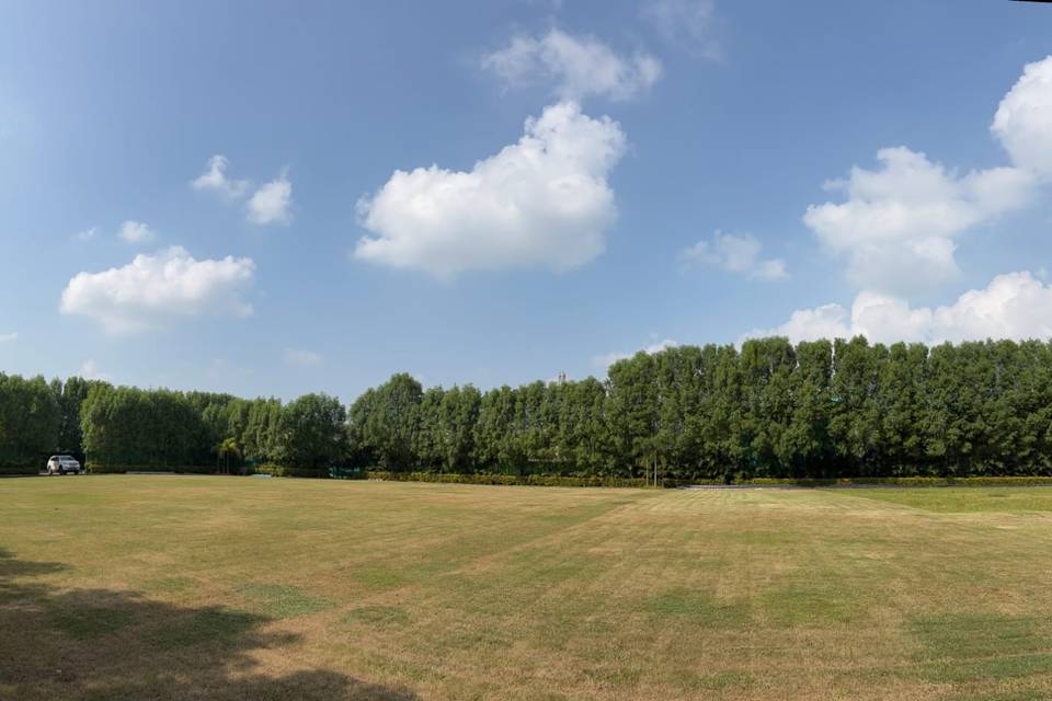 Lawn area