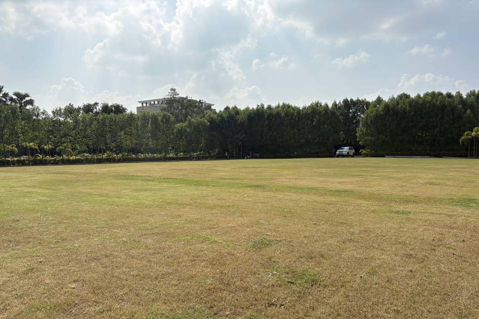 Lawn area