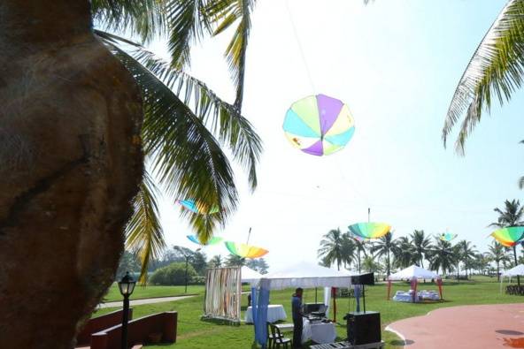 Elite wedding planner