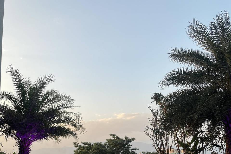 Lawn area