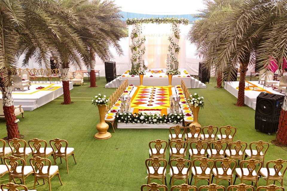 Lawn area