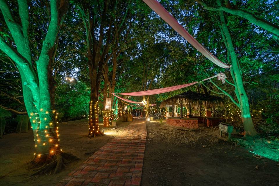 Paatlidun Safari Lodge portfolio