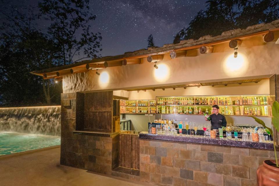Paatlidun Safari Lodge portfolio