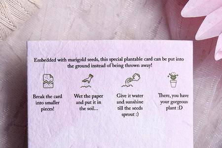 Seed Paper Invites by Plantable, Mumbai