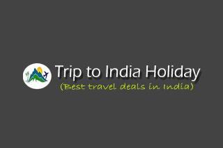 Trip to india holiday logo