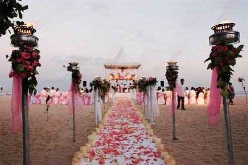 Knot in Style Destination Weddings, Chandigarh