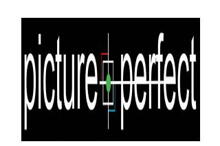Picture Perfect Logo