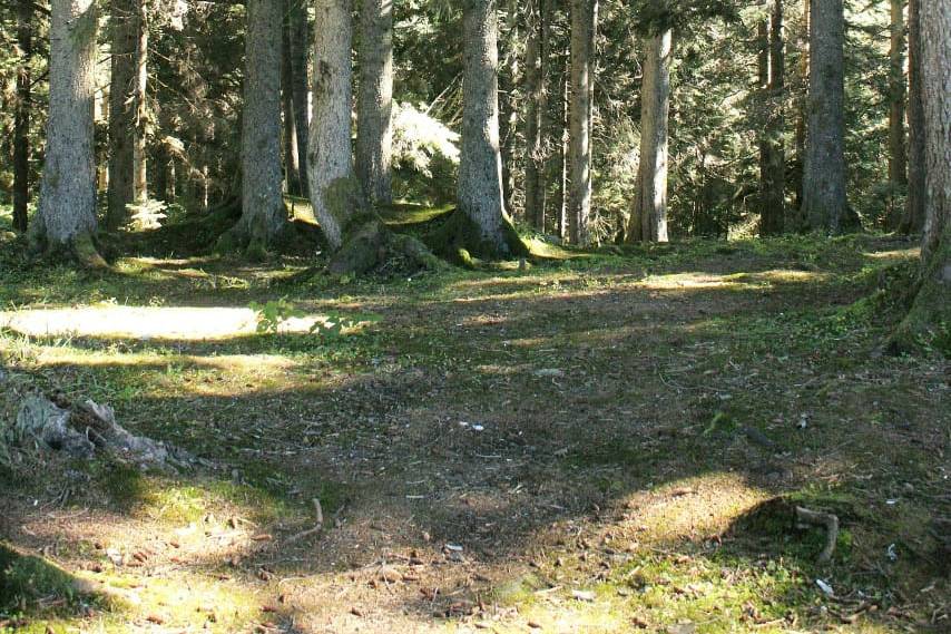 Honeymoon destination