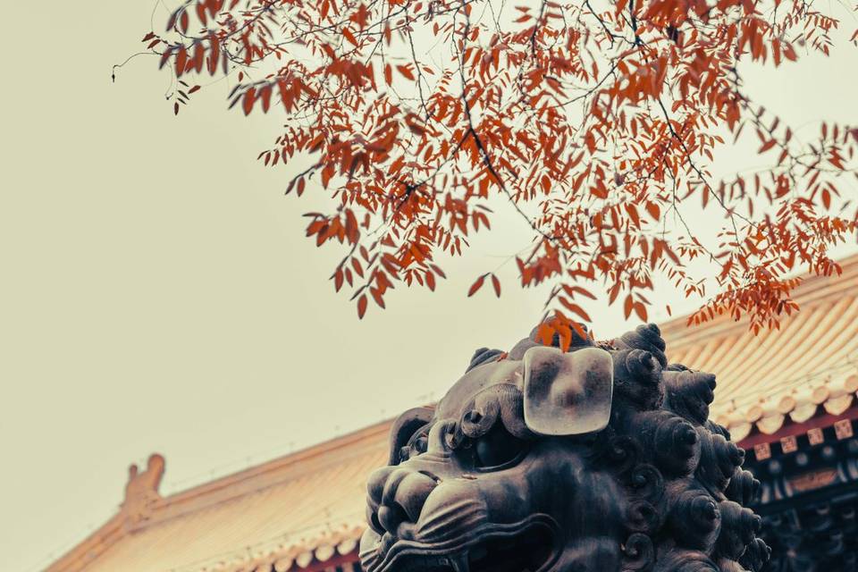 Honeymoon destination