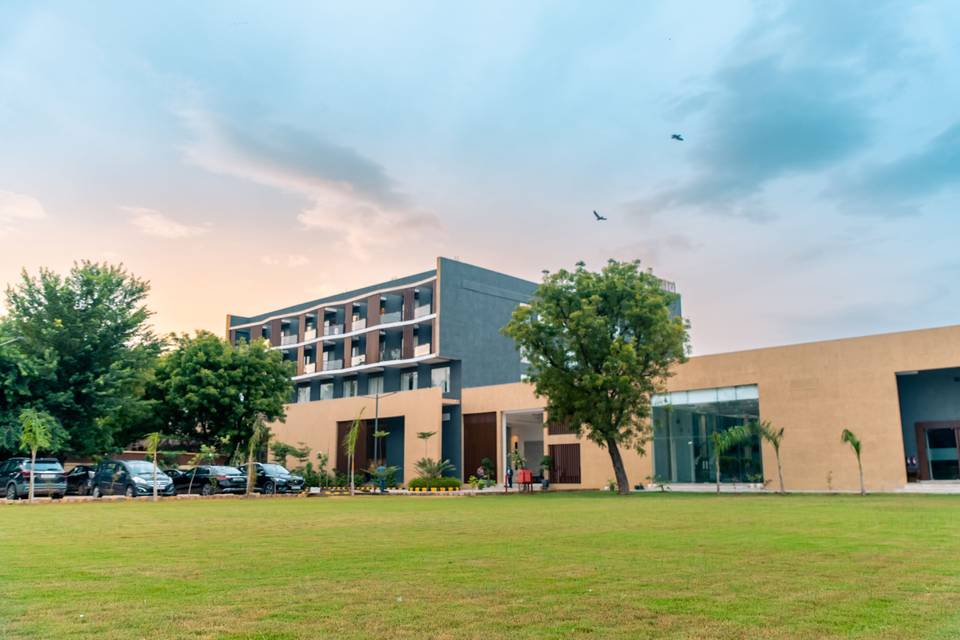 Lawn area