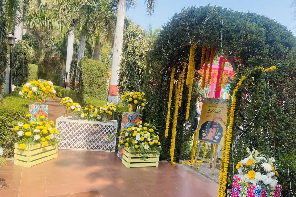 Haldi Décor in Clark Shiraz