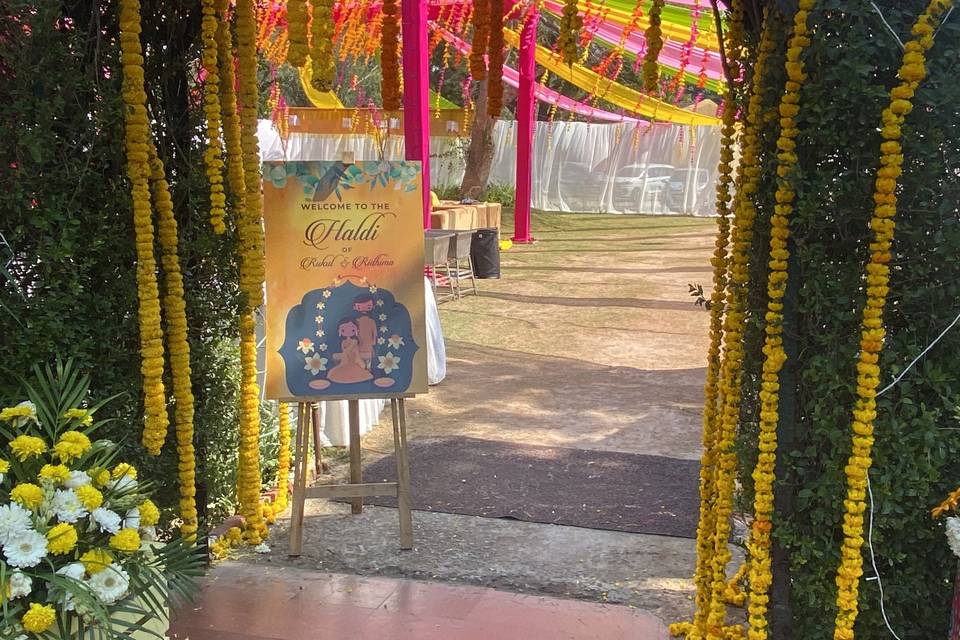 Haldi Décor in Clark Shiraz