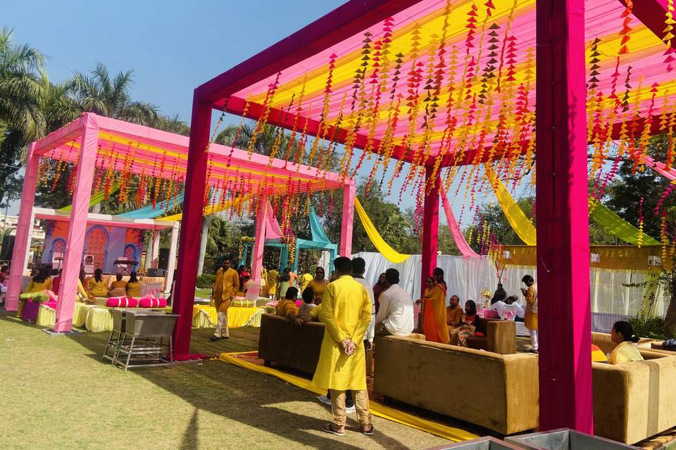 Haldi Décor in Clark Shiraz