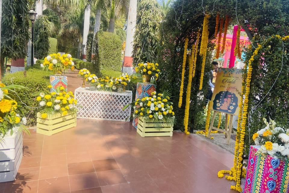 Haldi Décor in Clark Shiraz