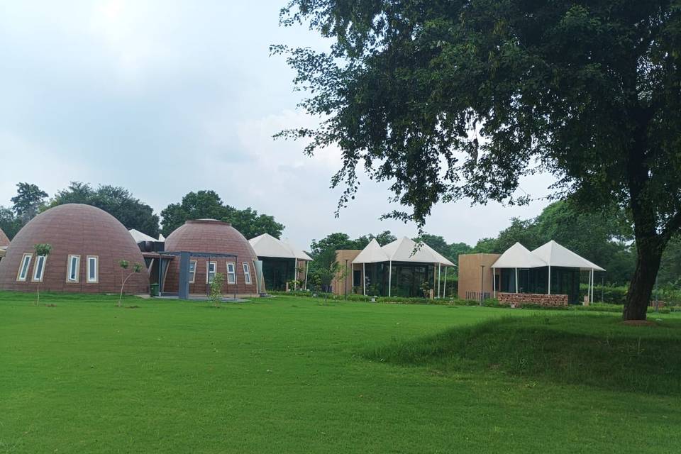 Lawn area