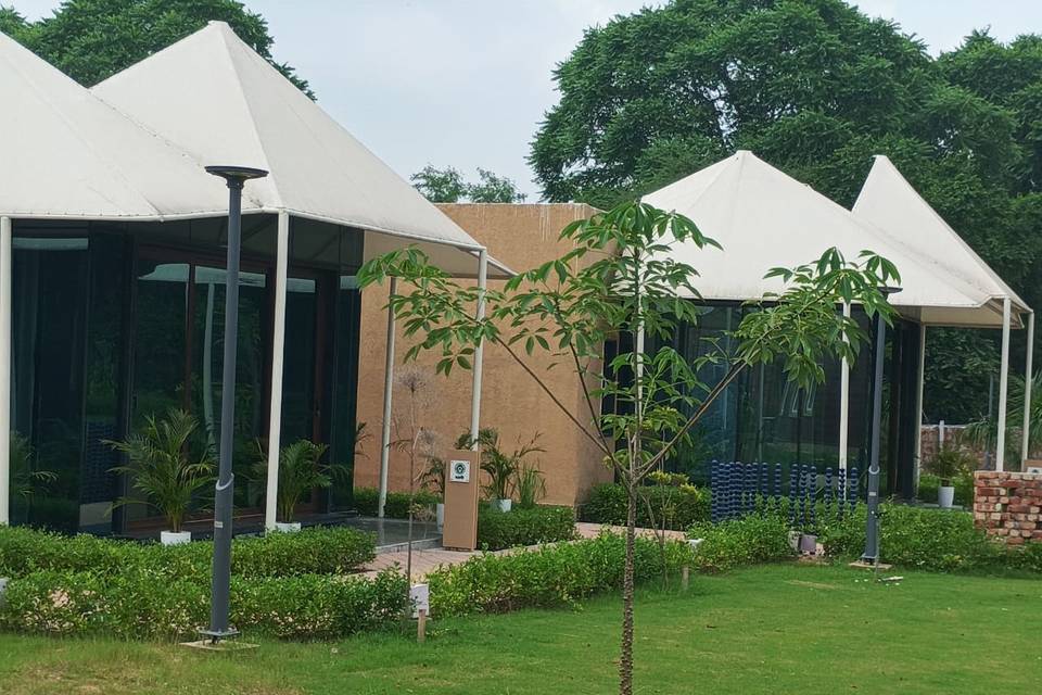 Lawn area