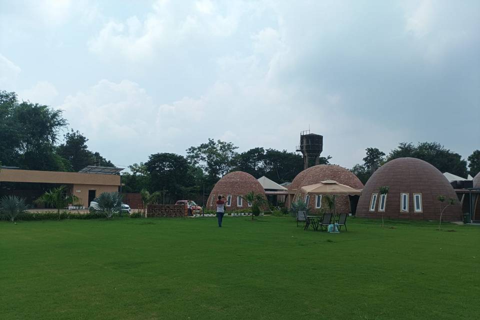 Lawn area