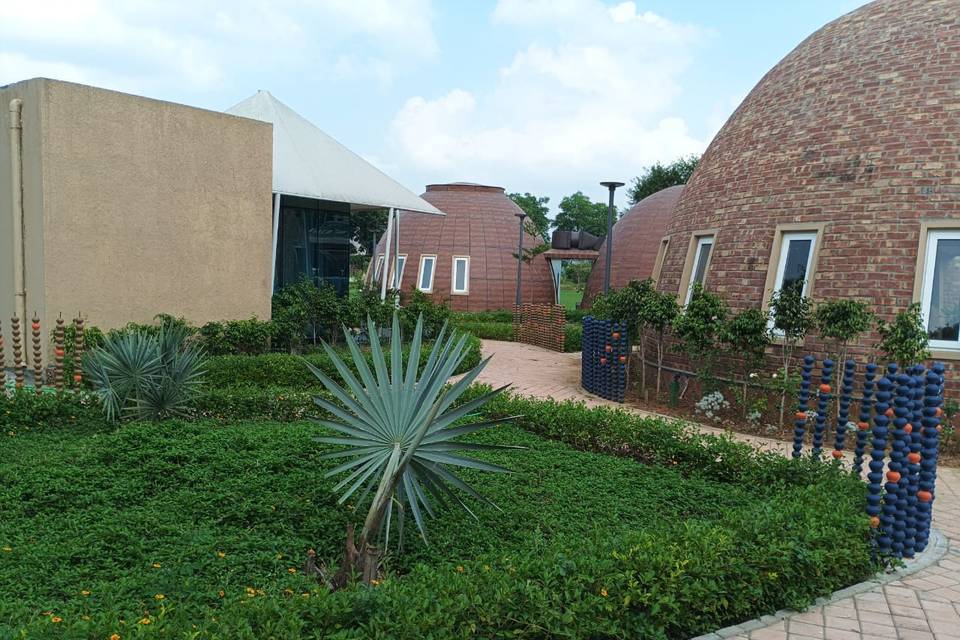 Lawn area
