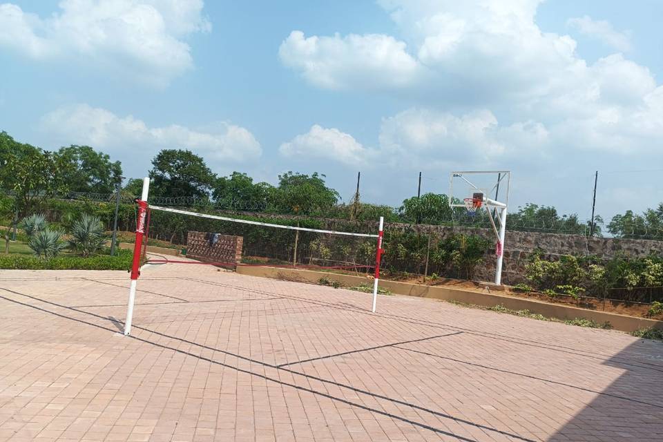 Lawn area