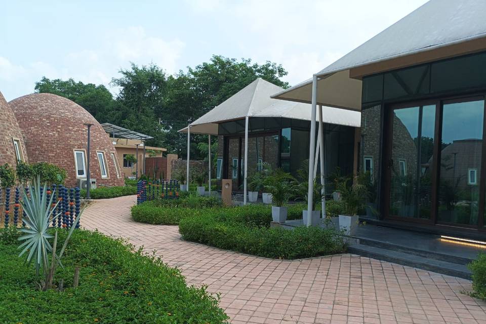 Lawn area