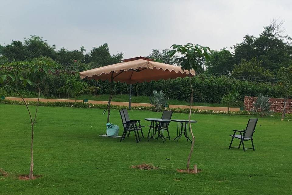 Lawn area