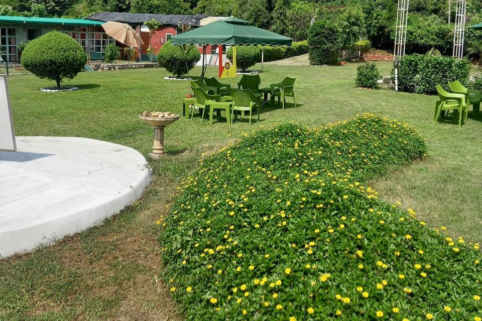 Lawn area