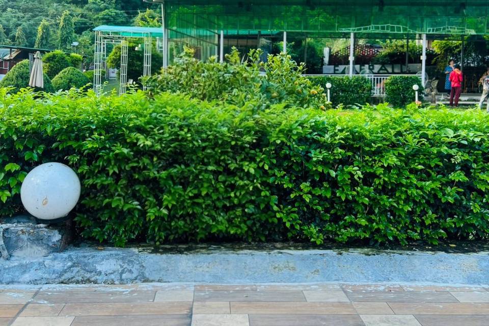 Lawn area