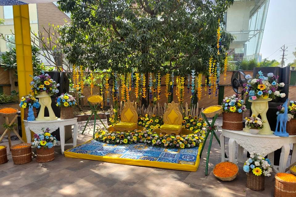 The Fern Residency, Udaipur portfolio