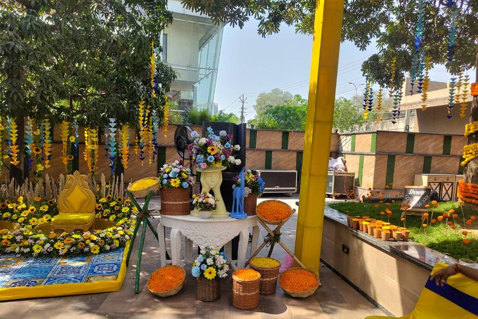 The Fern Residency, Udaipur portfolio