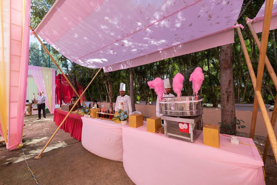 The Fern Residency, Udaipur portfolio