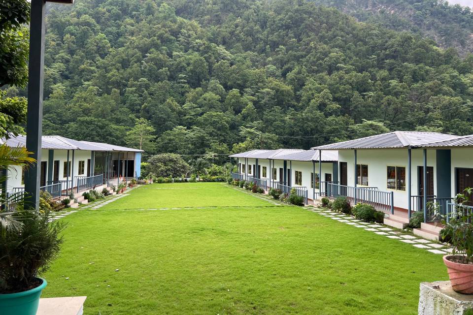 Lawn