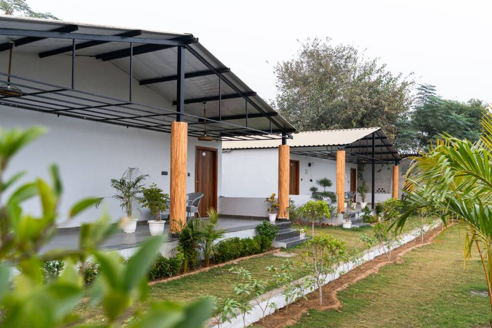 Lawn area