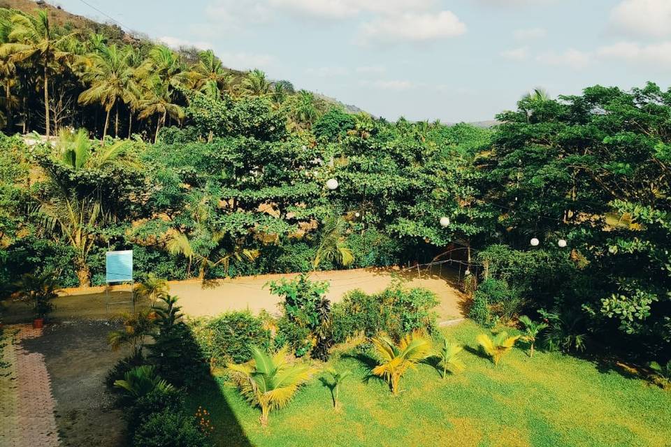 Lawn area