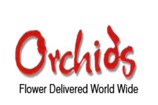 Orchid florist logo