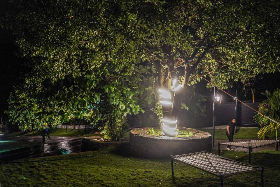 Wedding decor