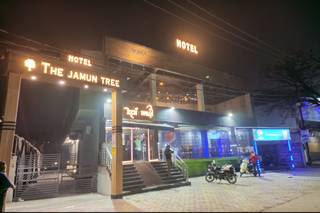 The Jamun Tree 1
