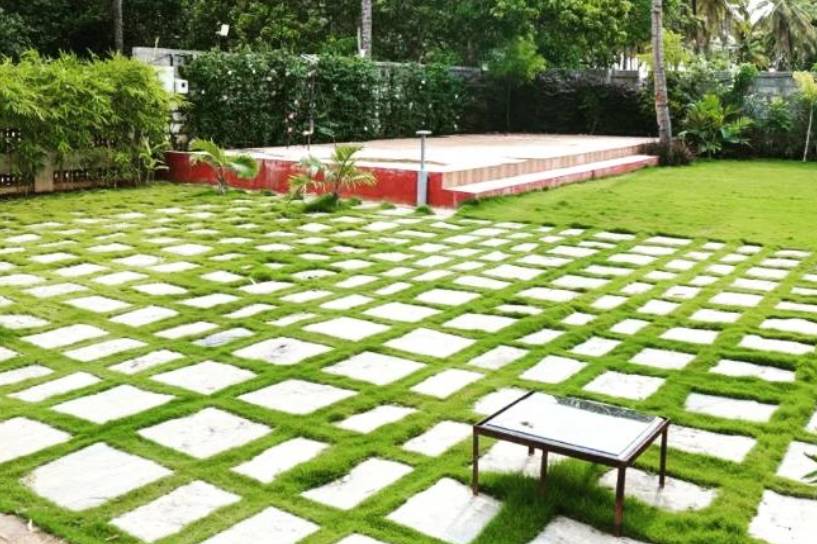 Lawn space