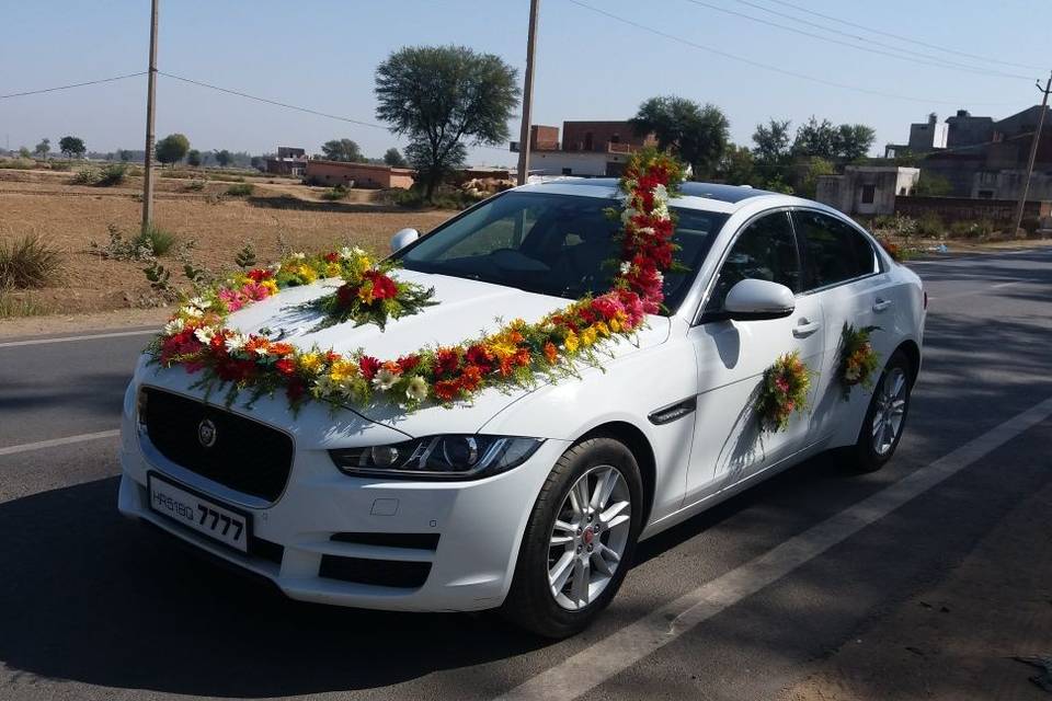 Jaguar for Wedding