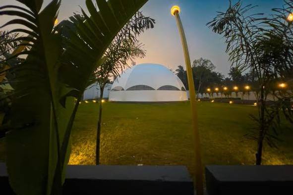 Lawn area